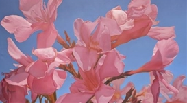 Mustafa Hulusi: Negative Ecstasy at Dirimart Dolapdere